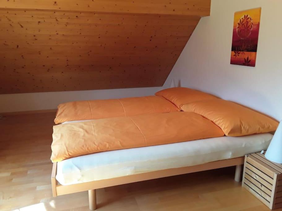 Zwinglis Ferienwohnung Rosi Nesslau Екстериор снимка